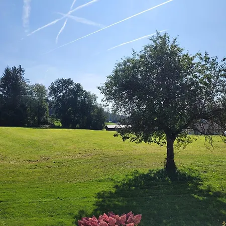 Waldblick