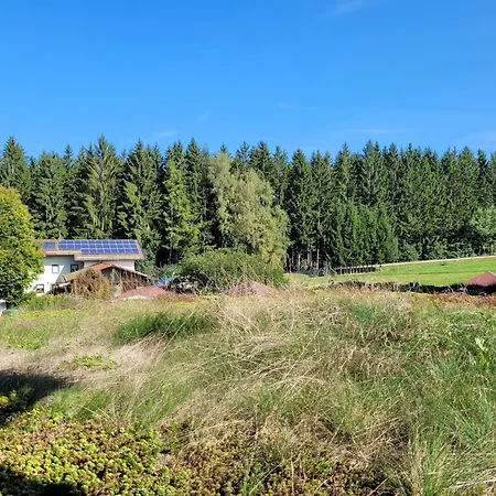 Waldblick Böbrach